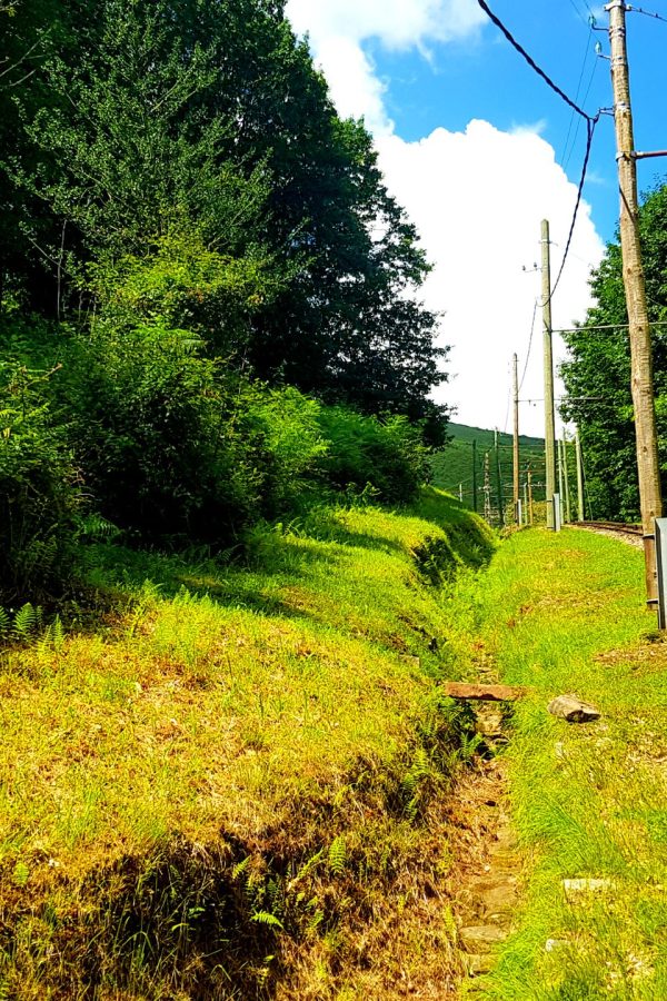 Saint Jean Pied de Port (16)